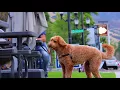 Holladay Utah - Neighborhood Highlight