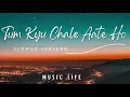 Download Lagu Tum Kyu Chale Aate Ho | Song | Slowed+Reverb | Relaxing Song | Lofi