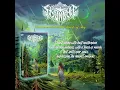 Download Lagu Re-Release of Skjønnhet  Wanderer Above the Woods of Fog on Cassette!  With  Selvmord Prods.