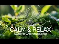 I Created a PERFECT Study Environment with This 10-Minute Nature Hack