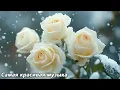 Download Lagu Самые красивые мелодии в мире🌿Музыка, которая никогда не надоест🌿Сергей Грищук
