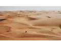 Download Lagu Martin Garrix \u0026 Third Party - Lions In The Wild [Official Video]
