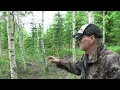 Download Lagu Riviin istutus  -  metsänhoidon mullistava taktiikka