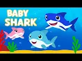 Baby Shark Adventure 🦈 | Fun \u0026 Educational Songs for Kids | Nyum Nyum Nursery