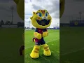 Download Lagu Mood 🐱😂 #fcbarcelona #football #cat #shorts
