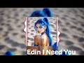 Download Lagu I Need You Remix 2025 | Emotional Depth by Edin | Original Track by Layla Sari