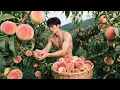 Download Lagu Riverside Snail Harvest And Peach Picking: Savoring Nature's Sweet Juicy Bounty By The Water!
