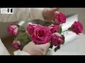 Floral Arrangements Same-Day Delivery in Woodstock NY Studio Herbage Florist - Ballston Spa