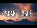 Download Lagu Red Hot Chili Peppers - Scar Tissue (Lyrics)