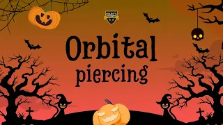 Teil 4: Steffies Piercing-Marathon! 🔥 Das Orbital zum FinaleI💉 Marc's Piercing TV