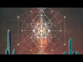 Lagartijeando - Sin Rumbo a Casa