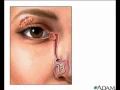 Blinking Anatomy MedlinePlus Medical Encyclopedia