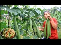 Download Lagu LUFFA blustru Taiwan masak pecak \u0026 tumis telur dan srapahan tempe buntel1