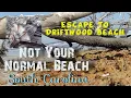 Things to do at Edisto Beach Botany Bay Driftwood Beach
