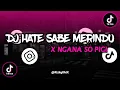 Download Lagu DJ HATE SABE MERINDU X NGANA SO PIGI SLOW REVERB !!!