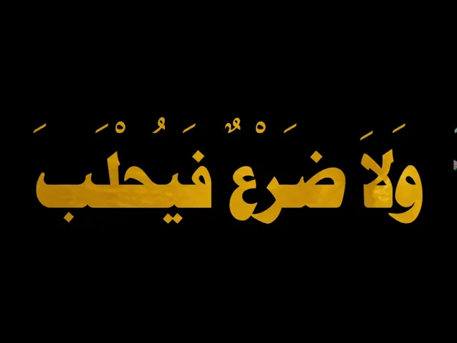 ⁣من قصار الحكم للإمام علي (عليه السلام) --6