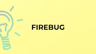 What is the meaning of the word FIREBUG