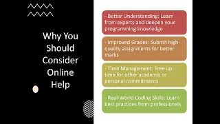 Debugging Your Worries Top-Tier Programming Assignment Help Online