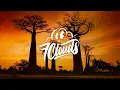 Murumba Pitch & Omit ST - Wena Dali feat. Soa Matrix, Dinky Kunene & Buhle Sax (Lyrics)