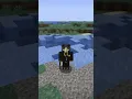 Splinters In Minecraft Curses and Diseases