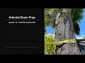 Arborist Exam Prep Chapter 12 - Tree Risk Assessment