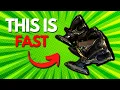 Warframe THE SPEED RUVOX Dante Unbound
