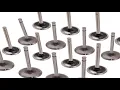 Download Lagu 16x 7701473354 Exhaust valve for Renault 1.4 1.6 16V Clio For Kangoo Megane Laguna Scenic 8200356346