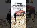 Area vulkanik Gunung Papandayan #shortvideo #papandayan