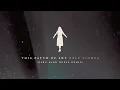This Patch of Sky "Pale Lights (Dark Dark Horse Remix)"
