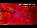Download Lagu best psychedelic chillout ambient classics mix ( psybient psychill ) HD