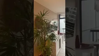                     دندنها