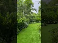 Download Lagu Tropical Bali inspired Landscape Design