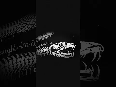 The Dead South – “Broken Cowboy” | Official Lyric Video Out Now #Shorts