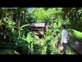 Download Lagu Full video: Is this house safe for Tran Cong to rebuild his life from scratch?. Trần Công