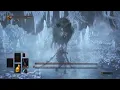 DARK SOULS III Champion s Gravetender Greatwolf Warden Twinblades 10 Carthus Rouge