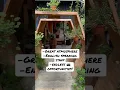 Download Lagu Best cafe in Da Lat, Vietnam 🇻🇳 #vietnam #việtnam #dalat #travel #coffeeaddict #café #cafe