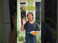 Download Lagu Emang se enak itu si Mie instan #shorts #lucu #mie