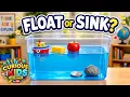 Why Do Things Float or Sink Fun Science for Curious Kids