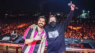 Alan Walker Alok Headlights Live At Lollapalooza Brasil 
