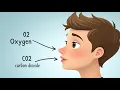 Biology Nutrient Cycling in Nature 2