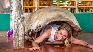 EXPLORING THE CAPITAL OF THE GALAPAGOS – Chase the Story 39