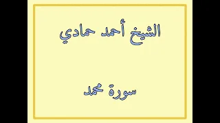 سورة محمد الشيخ أحمد حمادي من صلاة قيام الليل من رمضان لعام 1440هـ 
