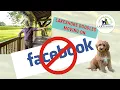 Lakeshore Doodles Moving To Instagram YouTube