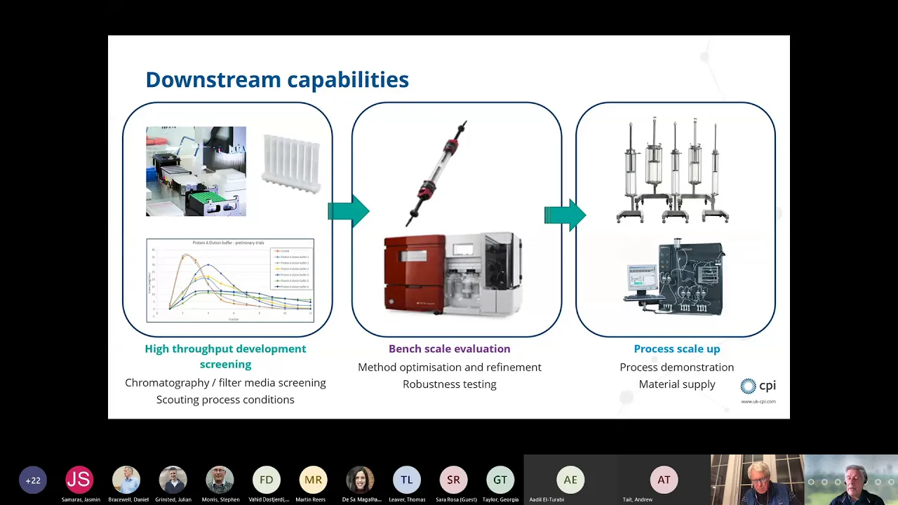 Vax-Hub & CPI Process Development Webinar - mRNA Vaccine Manufacture