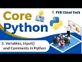 3 Variables input and comments in python