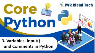 3 Variables input and comments in python