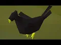 Download Lagu Crow