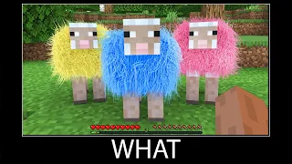 Download Minecraft wait what meme part 64 realistic minecraft sheep fur colors MP3