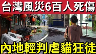 嚴重災難!台灣風災「六百多人死傷!」中山出現「虐貓狂徒」警方竟然用「尋釁滋事罪」將佢扣留!西藏地震「官方仍然」全力搶救!26/10內地猛料「看中國新聞快訊」