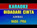 Lagu BIDADARI CINTA - KARAOKE | Nada Pria ( Adibal )
